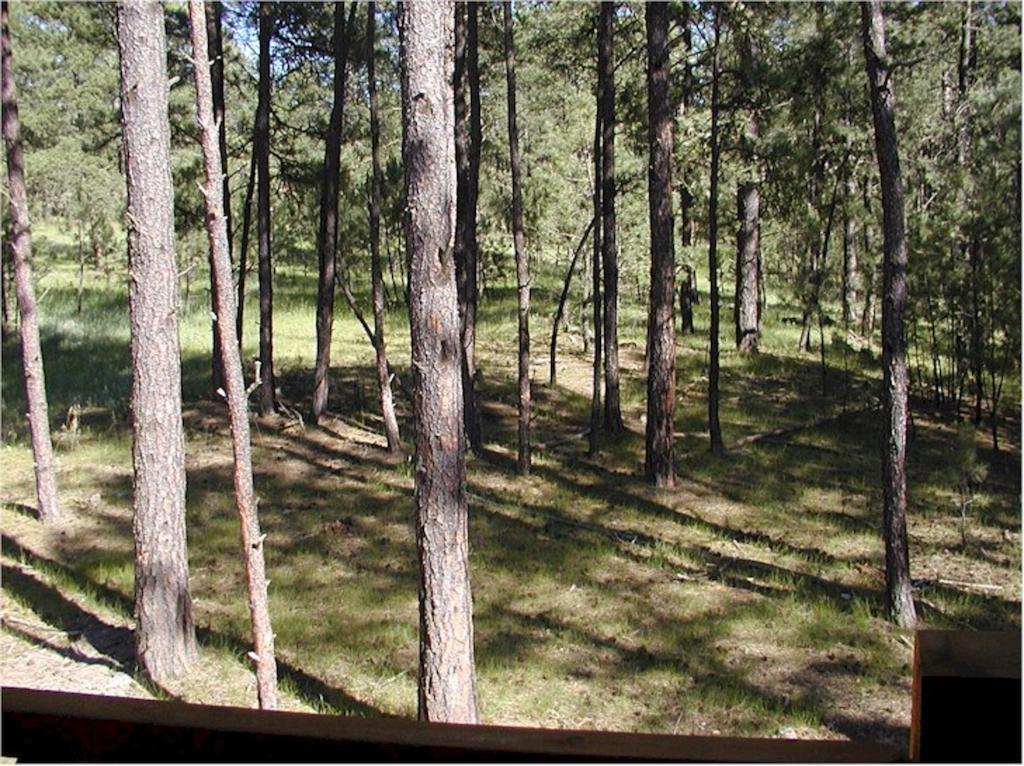 Comanche Lodge Custer Værelse billede